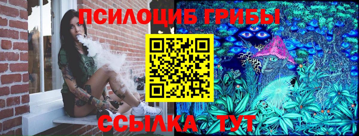 Псилоцибиновые грибы ЛСД  Галлюциногенные грибы Magic Shrooms  Волгодонск  Вход с VPN 