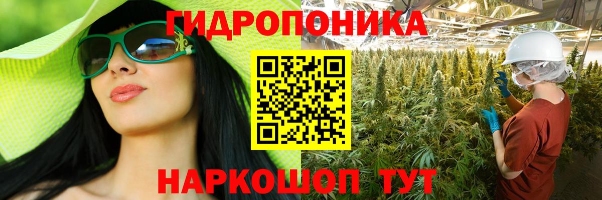 Бошки Шишки гибрид  Каннабис AK-47  Вход с VPN  Канабис Ganja  Волгодонск 